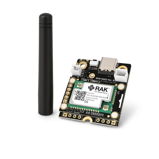 RAKwireless